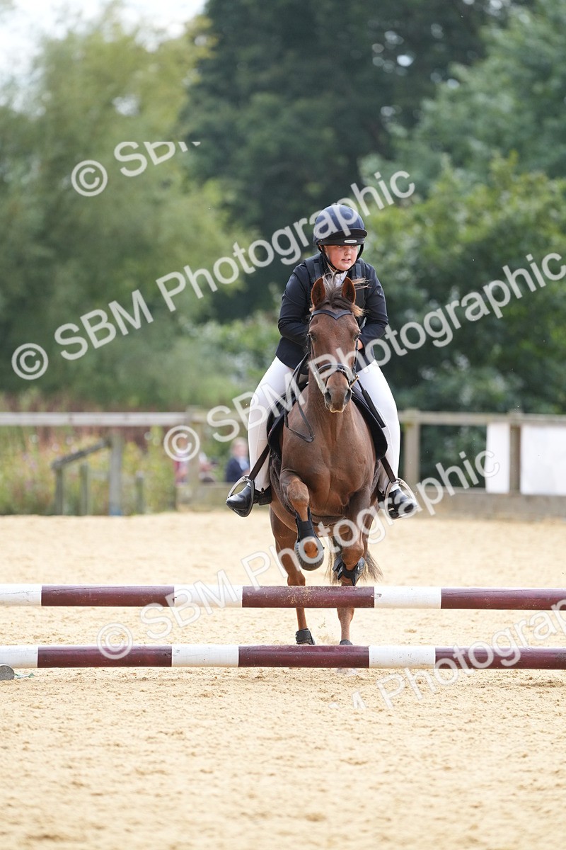 SBM_74730 - J4 - Mini Tour Junior Pony 45cm Championship