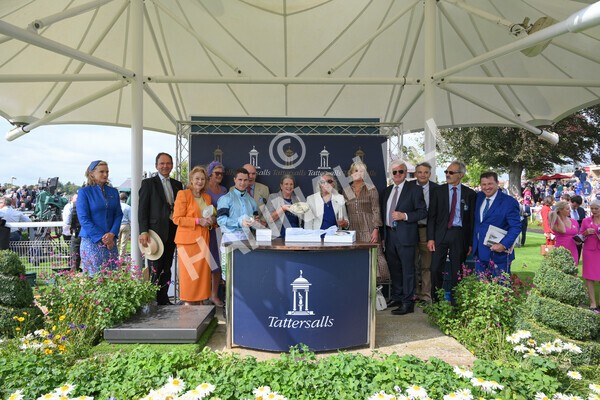 yr18082021r2-46 - Race 2 2.25pm Tattersalls Acomb Stakes