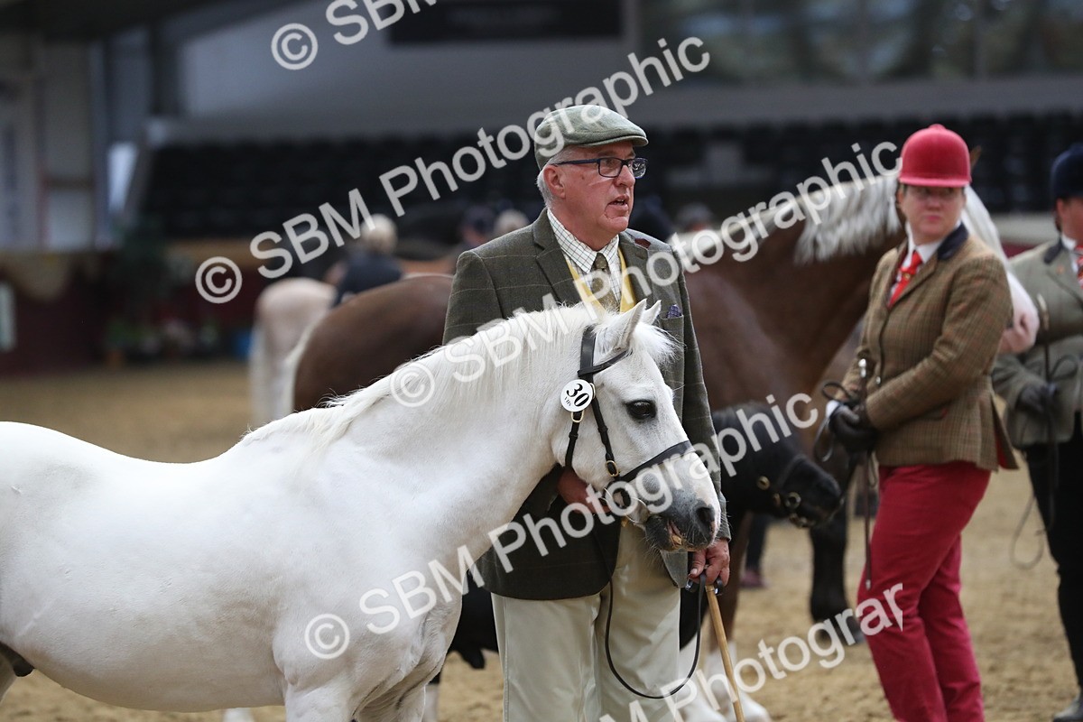 SBM_15327 - Class 501 M&M IH Supreme Final