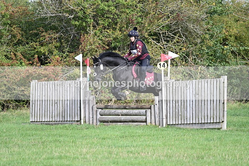 WJ7_8262 - 60cm Pairs