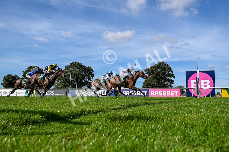 160924-Race 3-Moostar-5085 - Race 3