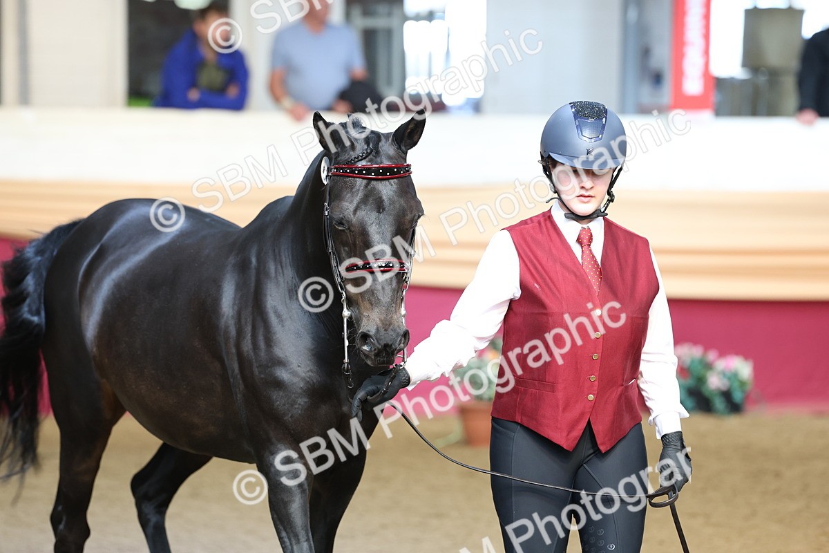 SBM_22490 - Class 902 - Supreme Final - IH Diamond