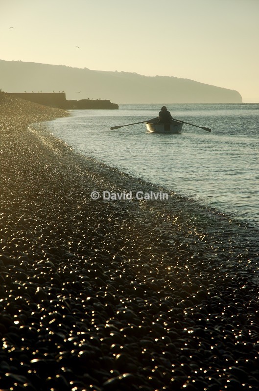 Early Morning Rower - Coast