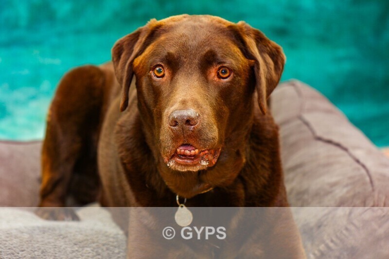 by Mick Graystone - GYPS Club photography