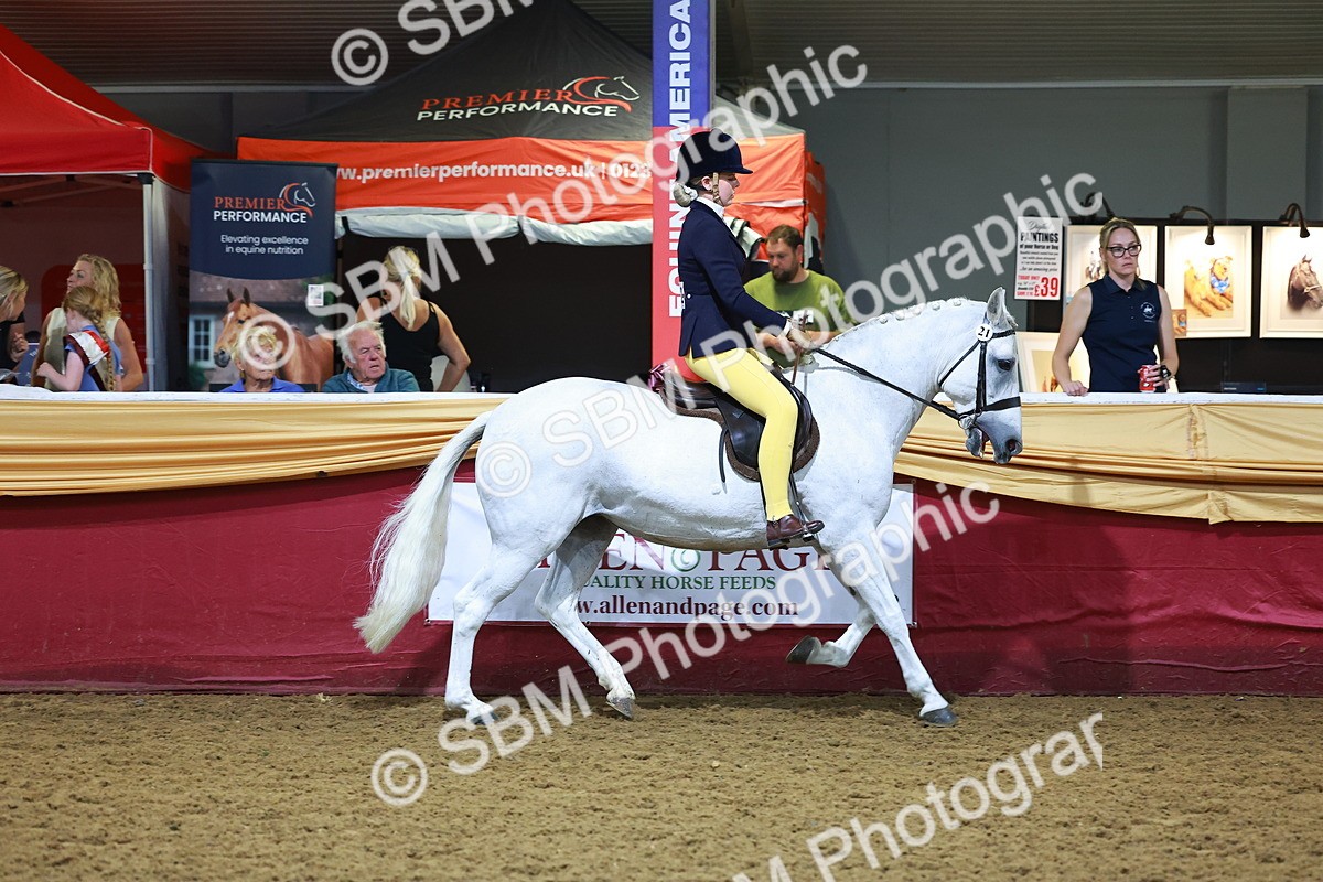 SBM_14962 - Class M - Equitation Champ
