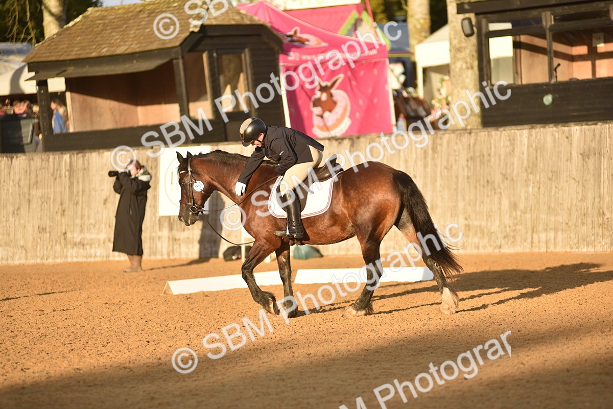 SBM_53527 - D24 - Junior Championship Prelim 3