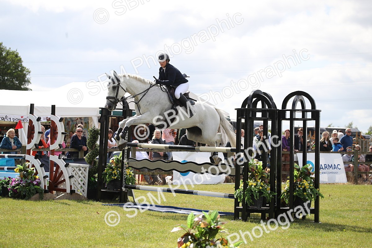 SBM_17533 - Class 208 - Senior Foxhunter 1.20m Open