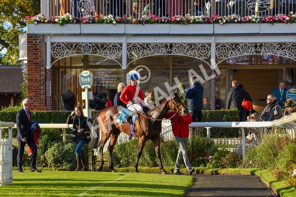 141023-Race 7-Star Ahoy-1691 - Race 7 4.45pm Coral 'Committed To Safer Gambling' Finale Handicap