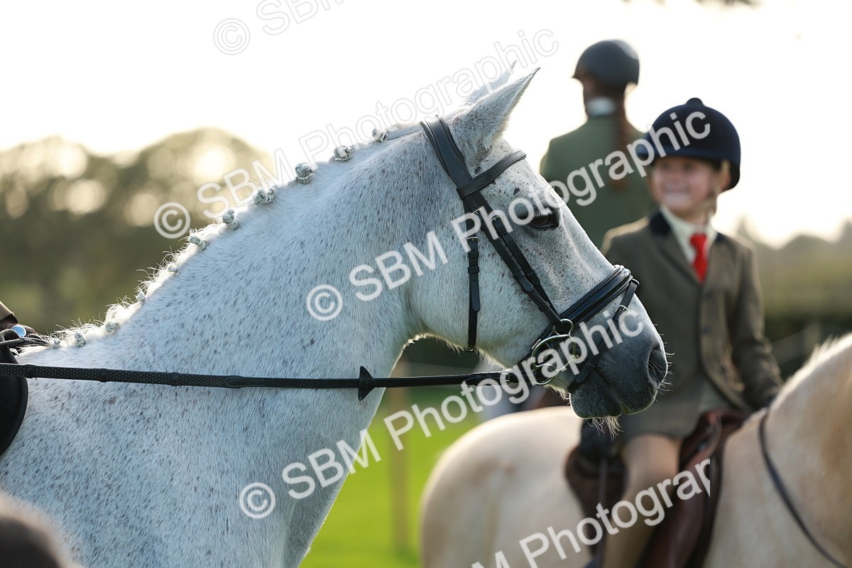 SBM_28811 - S7 - Novice & Newcomer Ridden Pony