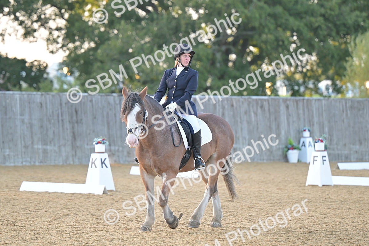 SBM_13538 - D3 - Small Tour Championship Intro 3