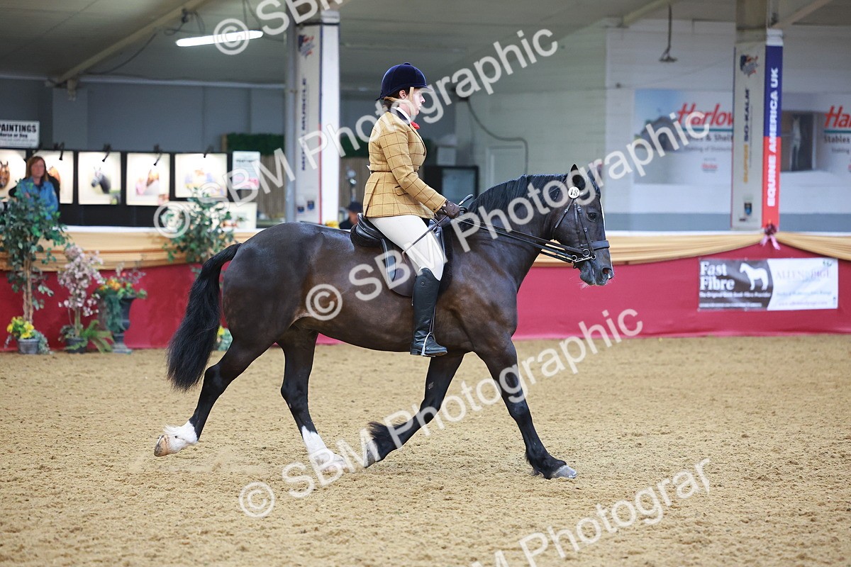 SBM_10676 - Class 103 - HOYS Veteran Qualifier - Ridden Pre Vet