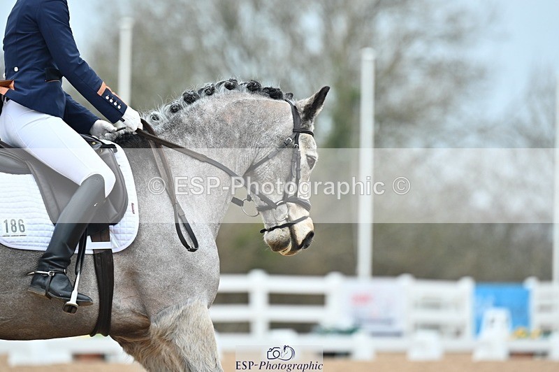 250214-103127-00813 - 186-Elizabeth.Allen-Tully.Mist