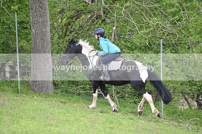 WJ6_3074 - A Camera