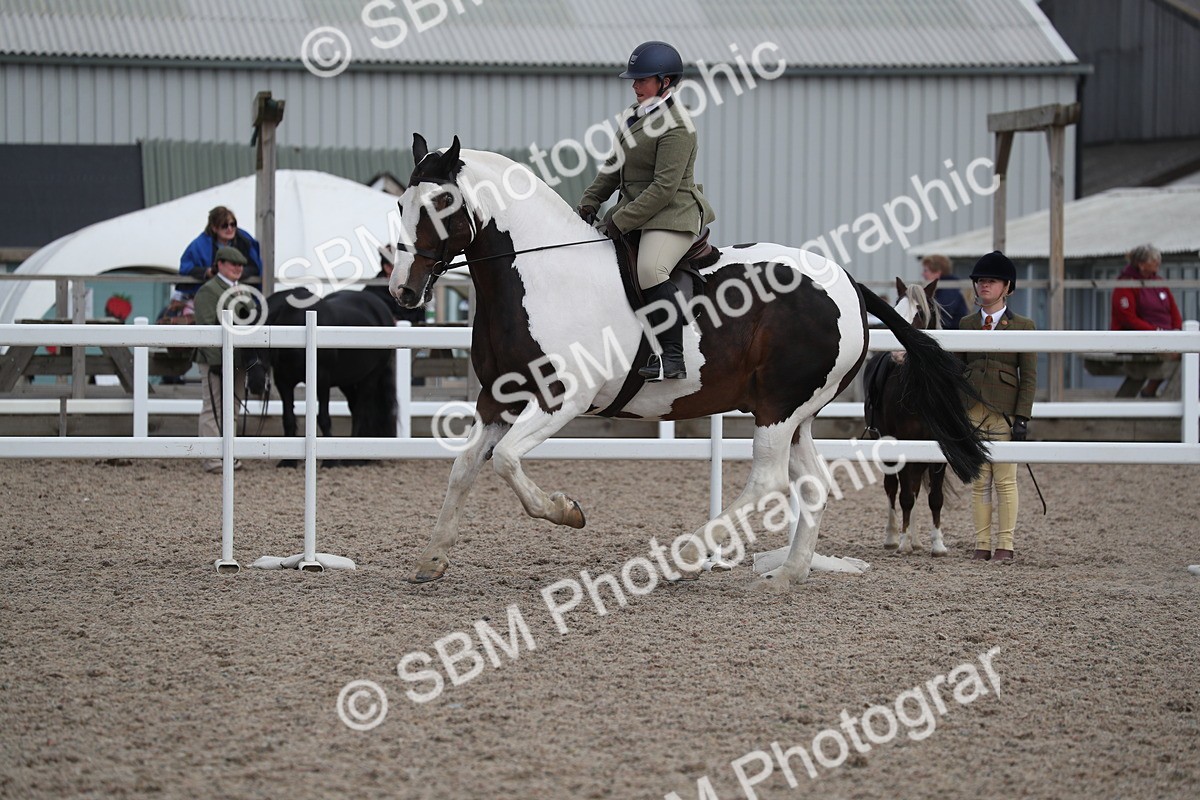 SBM_17371 - Class 315 Best Horse/Rider Combination