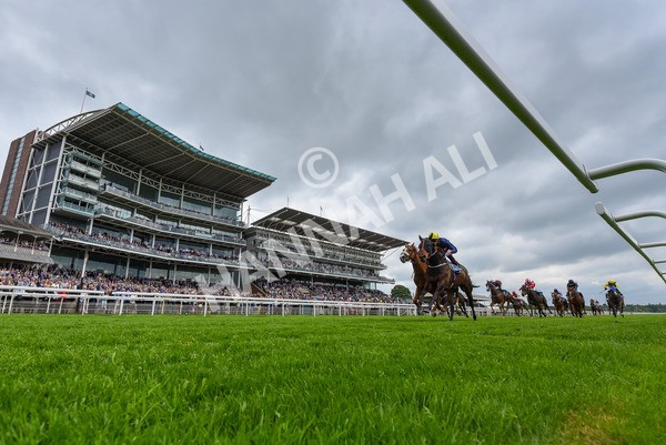 160524-Race 2-Point Lynas-2 - Race 2 2.45pm Oakmere Homes Hambleton Handicap