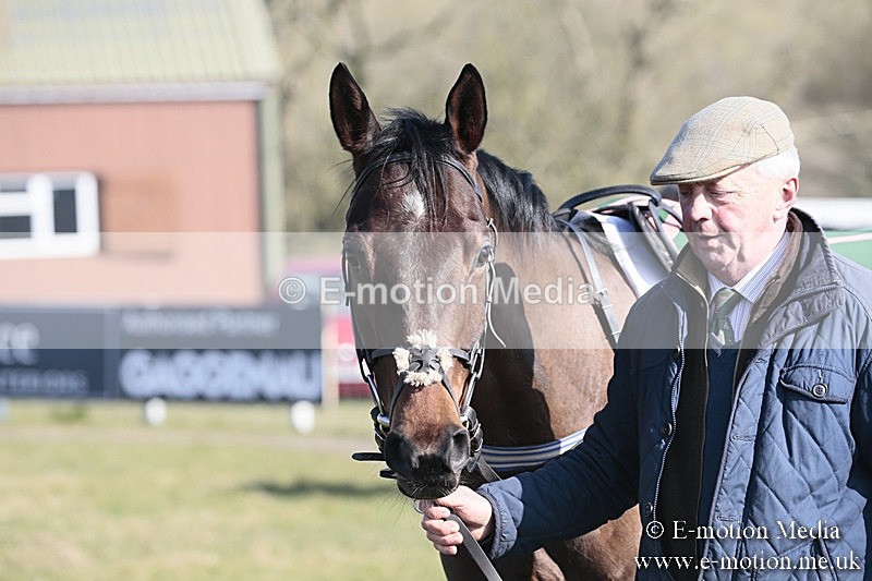 PtP 240218 108 - Vine & Craven Hunt Point-to-Point Barbury racecourse 24/02/18