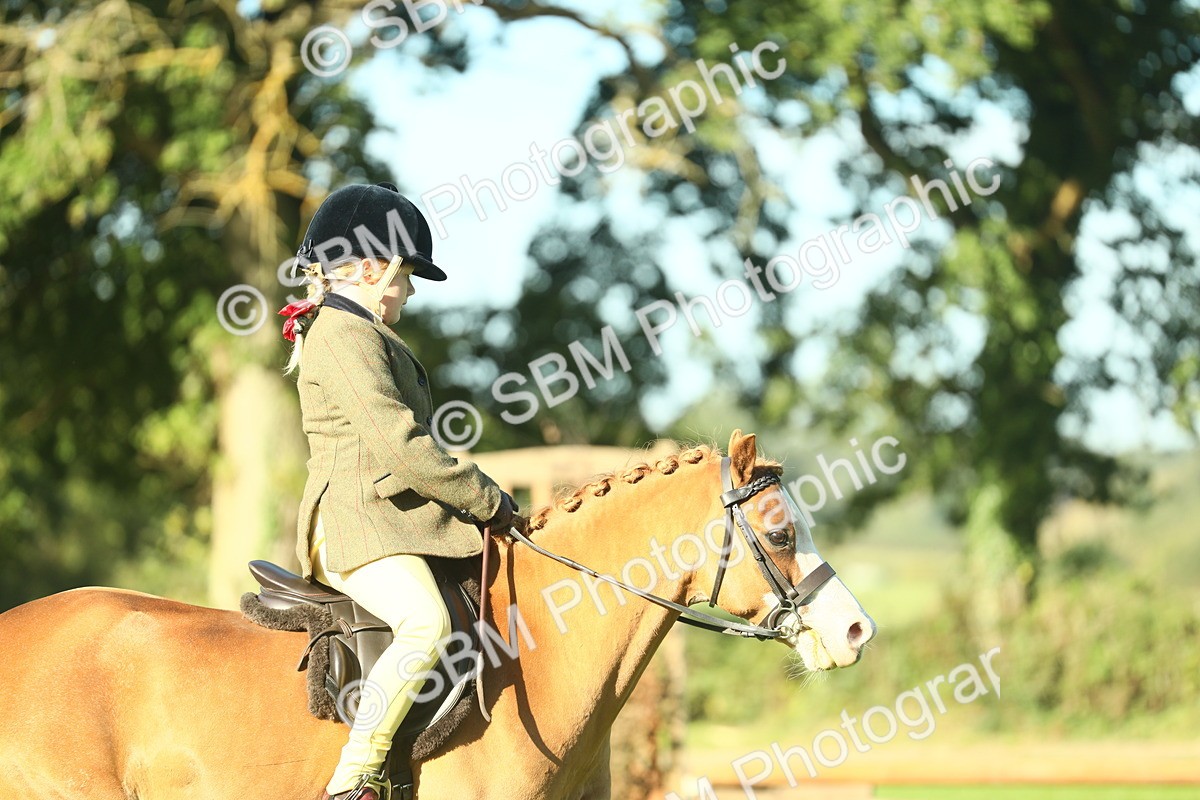 SBM_36348 - S29 - Novice & Newcomers Working Hunter Pony