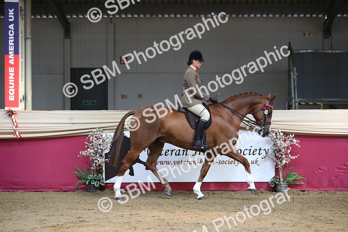 SBM_08285 - Class 11R Regional Ridden Veteran