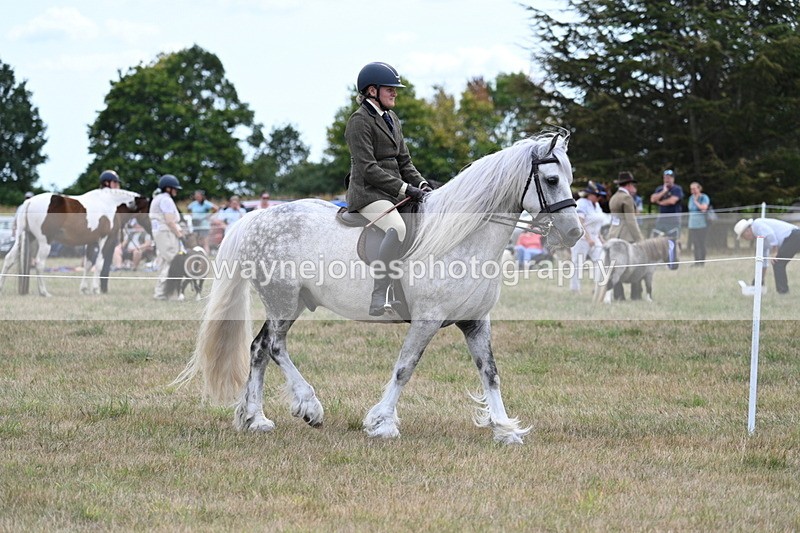 WJ7_4682 - Class 12 Ridden Cob