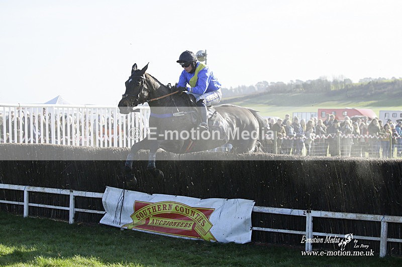 PtP 300122 102 - South Dorset Hunt - Point-to-Point Races 30/01/2022