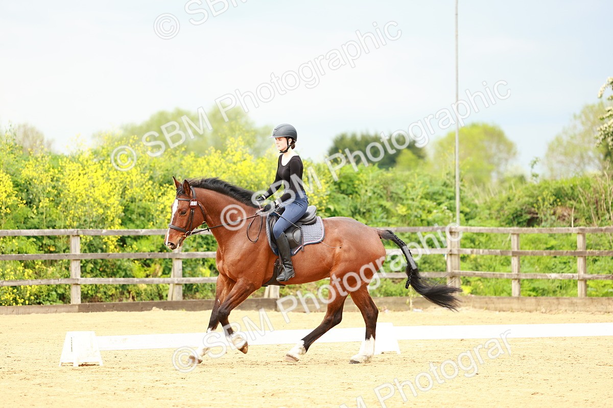 0B8A9352 - Class 5-4 - Novice 2-Prelim 3