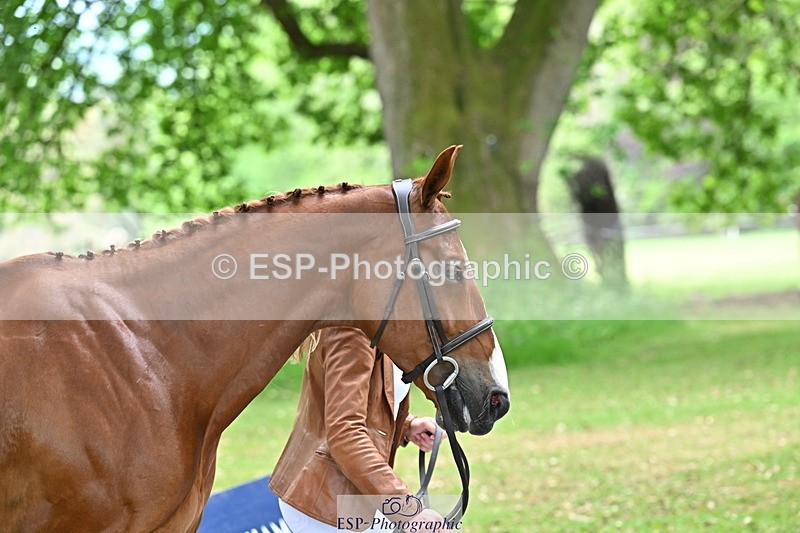 250521A-144820-00255 - A-061-Isabelle.Cook-EMERALD.KATIE