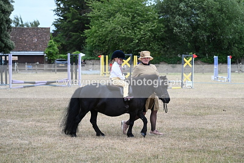 WJ7_8505 - Class 4 Prettiest Mare up to 14.2hh