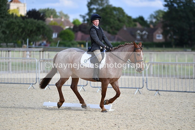 WJ5_8028 - Time 16:56 to 17:14