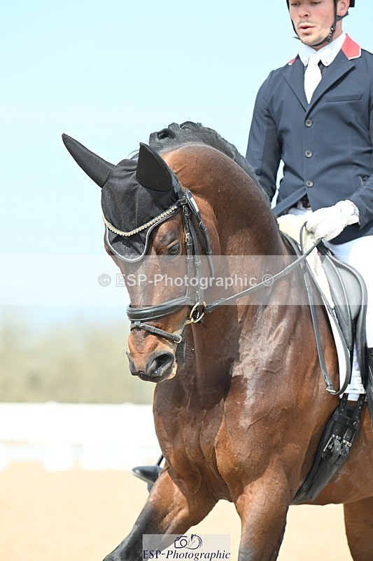 250403-120910-02248 - 048-Angus.Corrie-Deane-Maigret.VD.Watermolen