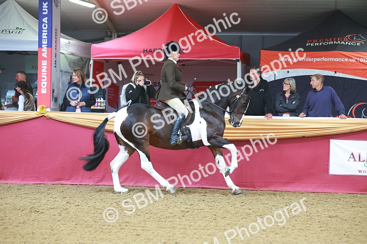 SBM_09644 - Class 102 - HOYS Veteran Qualifier - Ridden Veteran