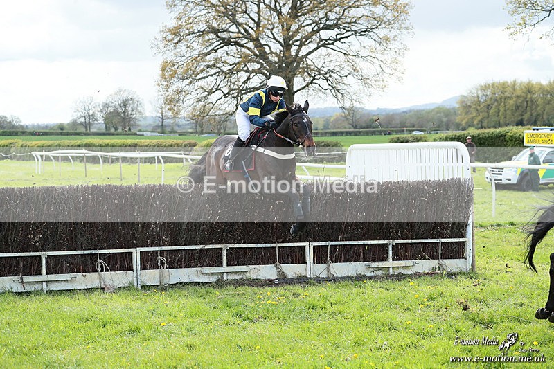 PtP 180426 803 - Worcestershire Hunt PtP Chaddesley Corbett 18/04/26