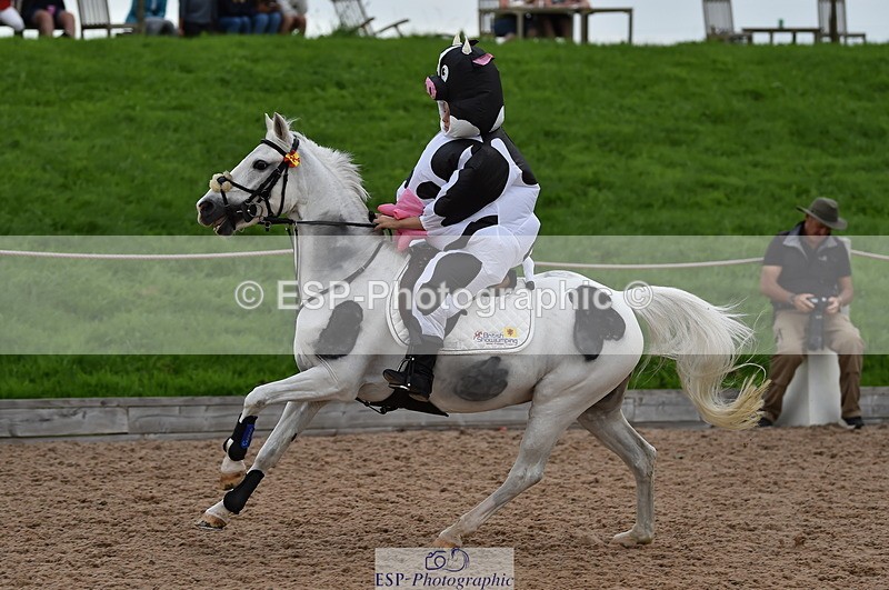 230902A-183434-02744 - Evening Ride and Run