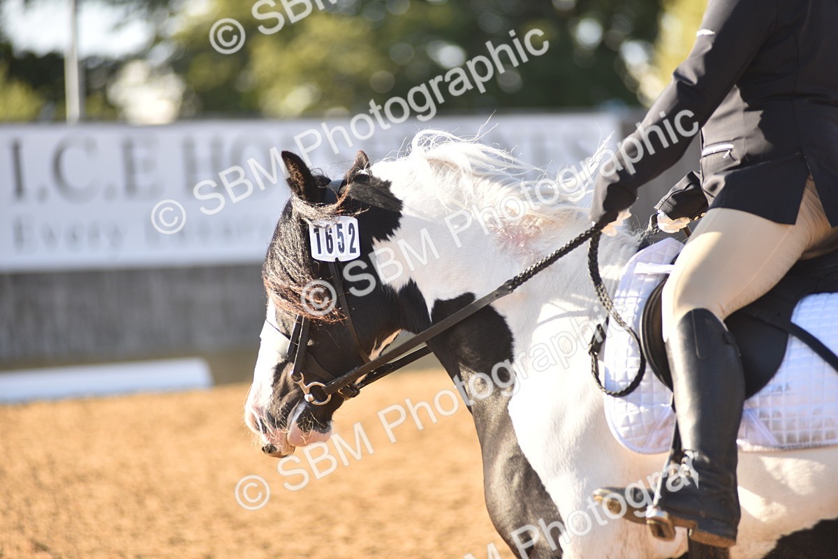 SBM_53350 - D24 - Junior Championship Prelim 3