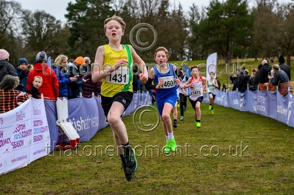 Falkirk26-911294 - U13 Boys