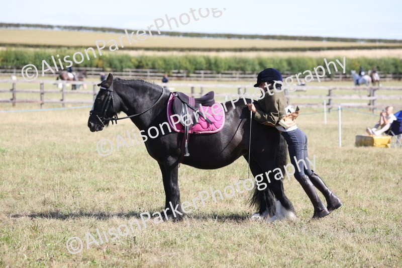 20260906-2178 - Class 16 - Family Pony