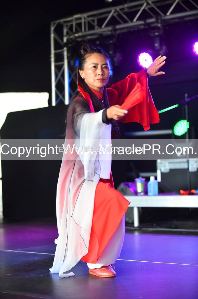 SH4_1641 - Tai Chi with Lisa Kay.