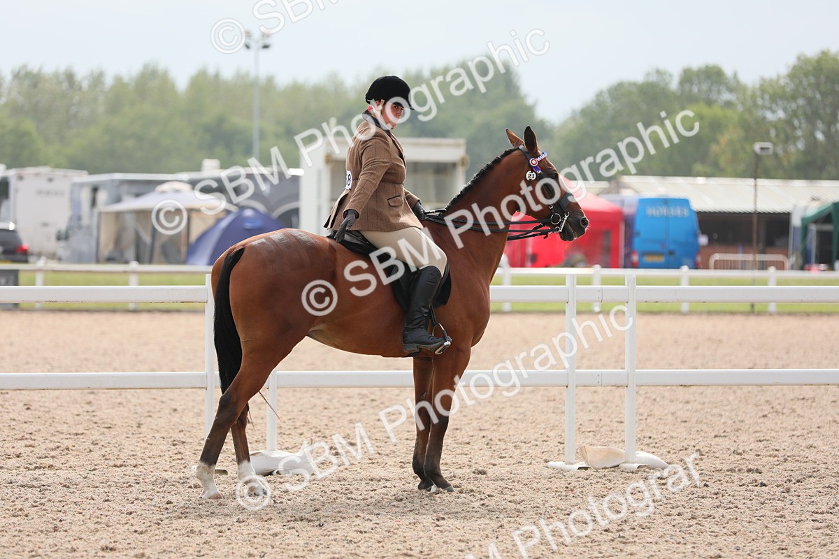 SBM_16964 - Class 314 Family Horse/Pony