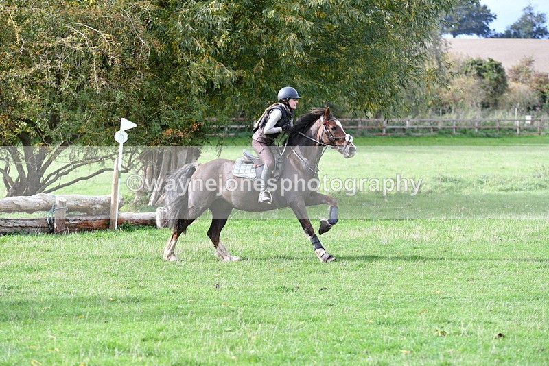 WJ5_0535 - Time 13:59 to 14:28