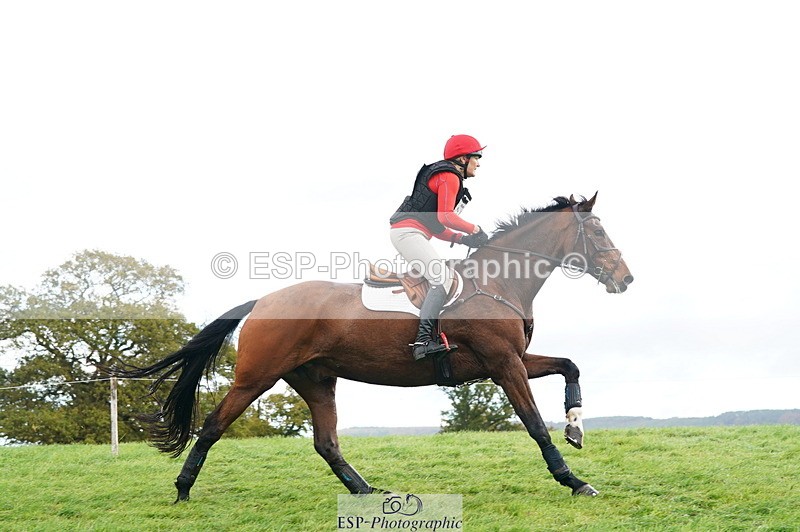 251025A-104714-17173 - D-361-Alison.Gill