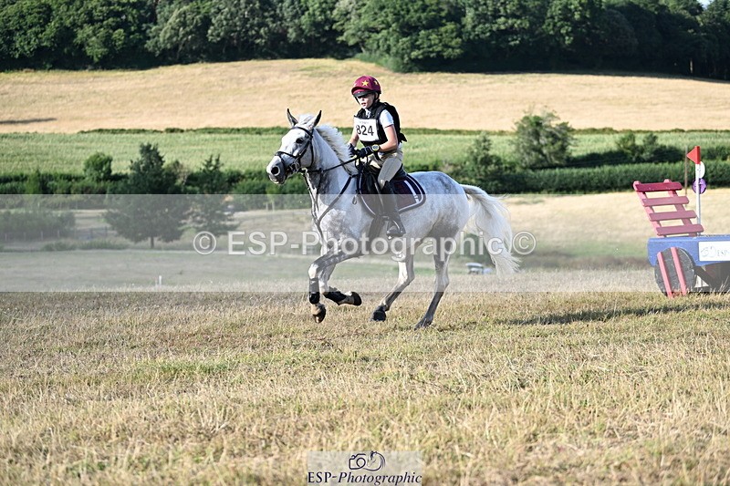 250803A-181357-18639 - R-824-Poppy.Wilkinson-DAISY.DER.BLUME