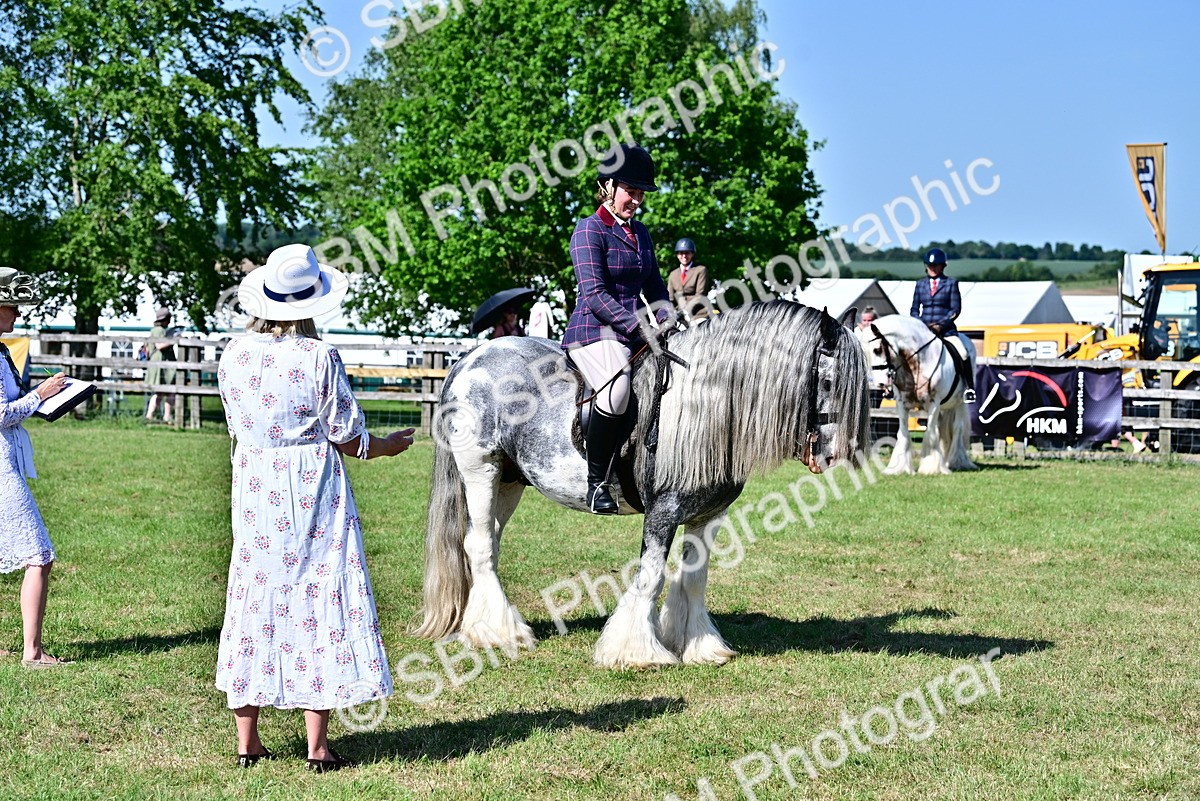 SBM_19417 - Class 101-102 - BSPS LIHS Performance Coloured Horse/Pony