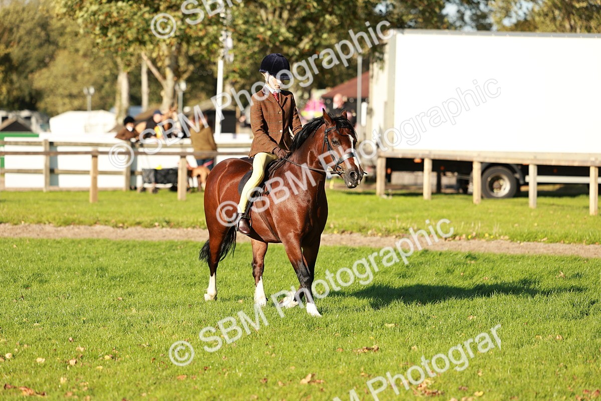 SBM_28722 - S7 - Novice & Newcomer Ridden Pony