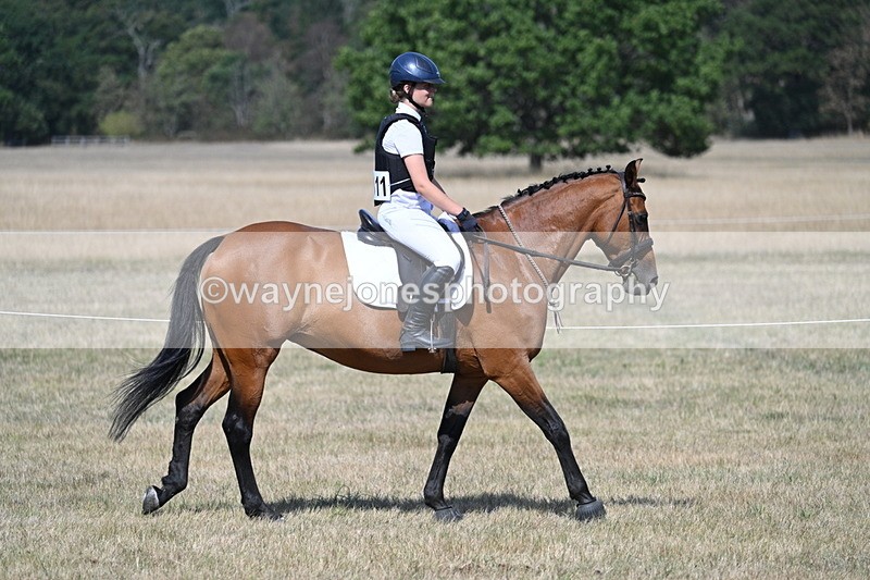 WJ7_1185 - Class 41 Prettiest Mare