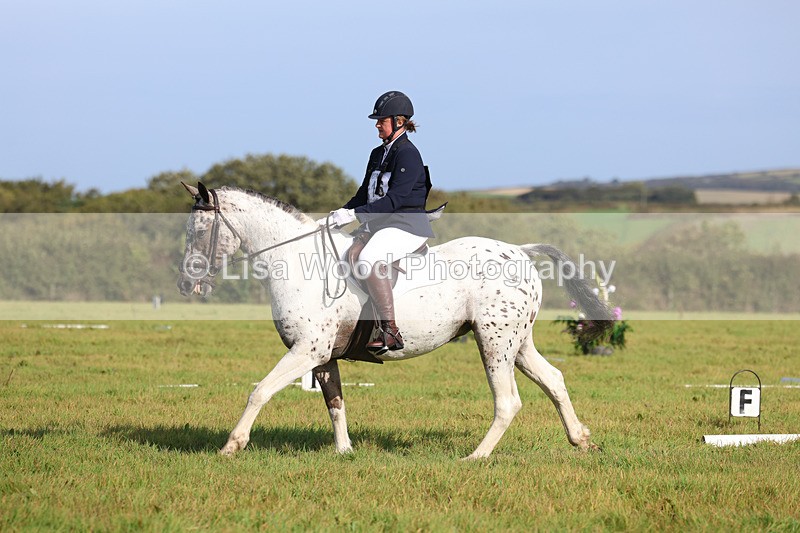 3E7A6057 - Class 1: Trebudannon Open: Dressage (Part 2)
