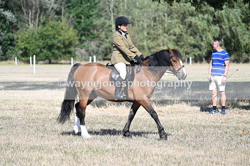 WJ7_3425 - Class 9 Mountain & Moorland Ridden