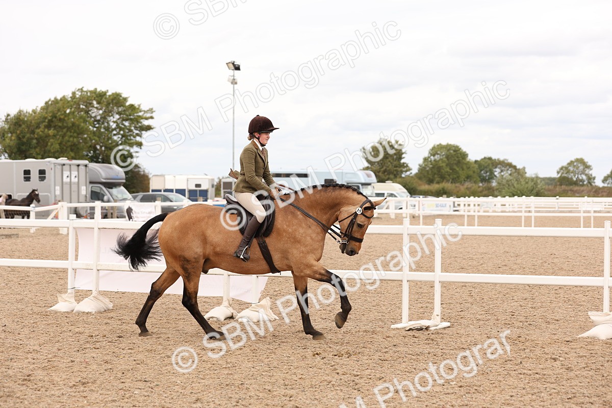 SBM_17210 - Class 213 - Ridden Hunter - Large