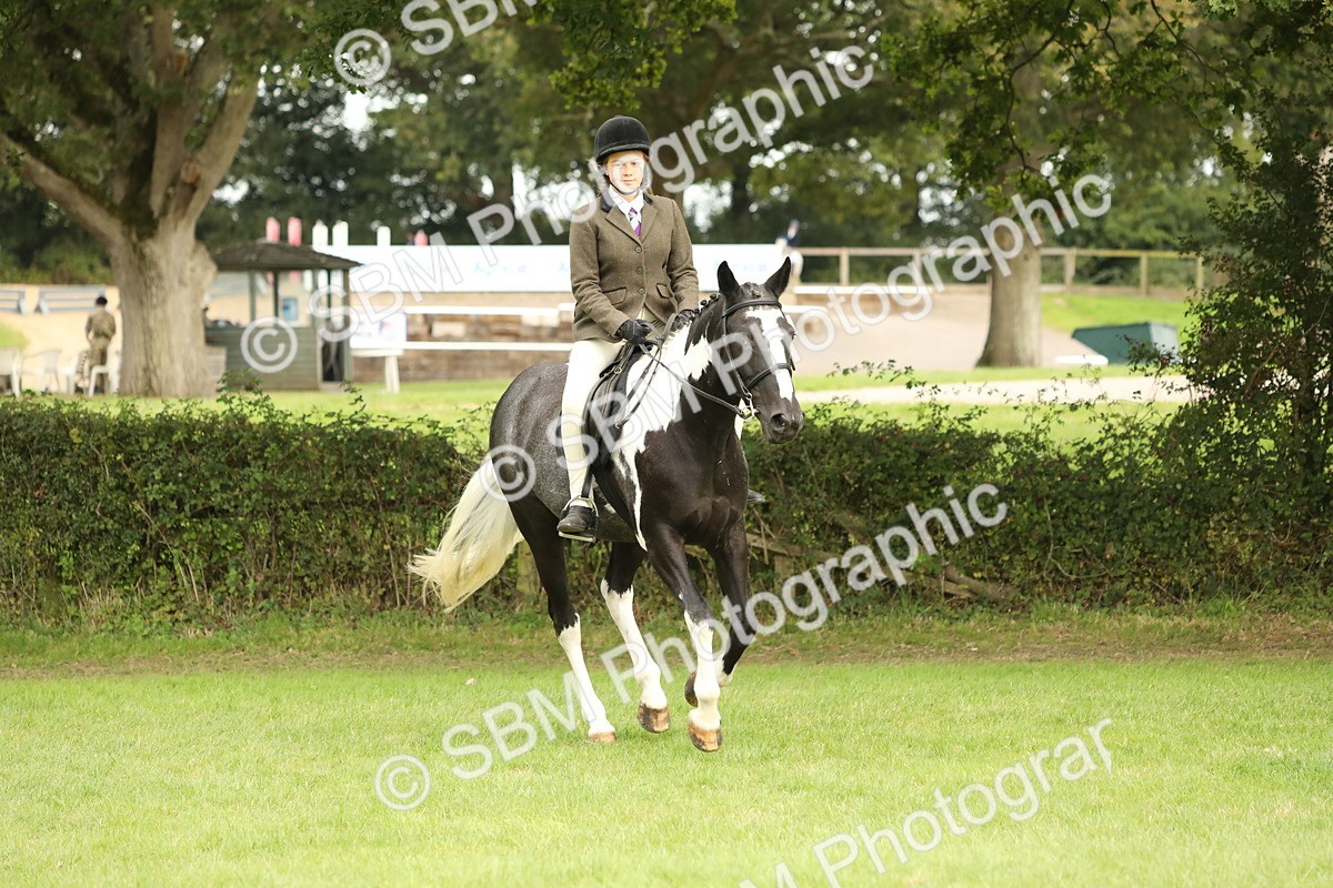 SBM_71621 - S41 - Ridden Equitation (Best Rider)