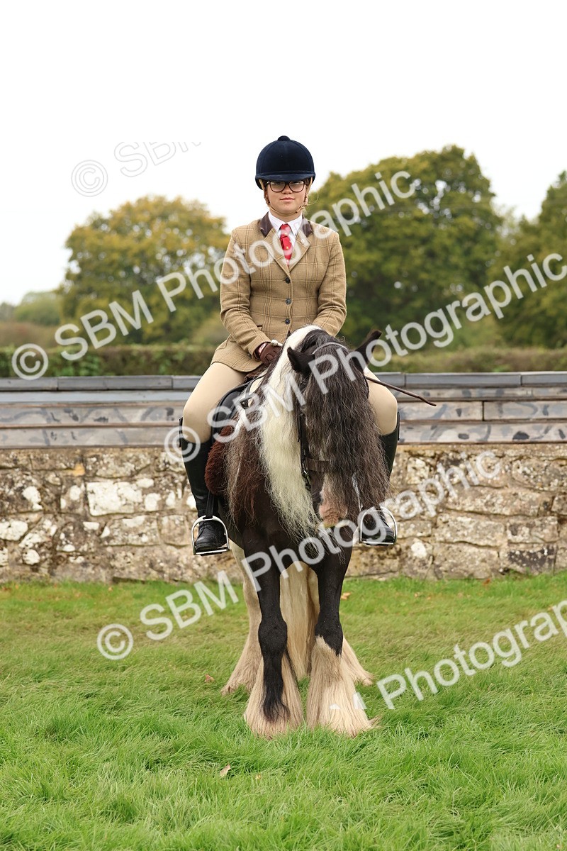 SBM_59944 - S36 - Rehabiliated Rescue Horse & Pony In Hand & Ridden