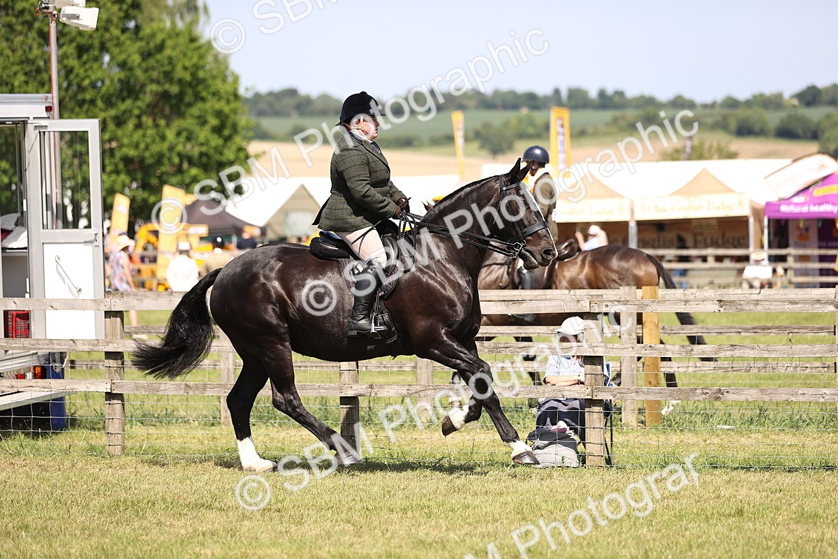 SBM_17850 - Class 81-83 - TSR Ridden Amateur of the Year - Horses