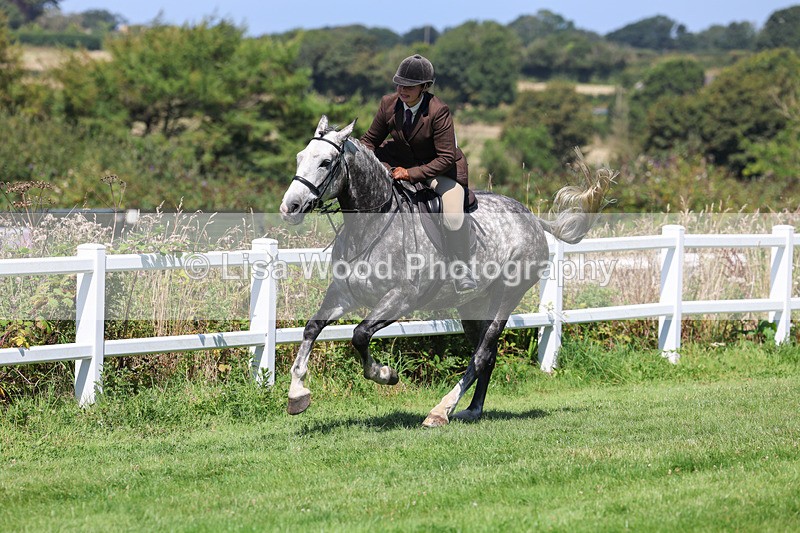 3E7A8987 - Class 6: Open Working Horse